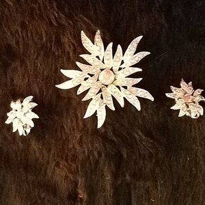 Sarah Coventry vintage flower brooch with Earrings